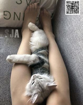 守望尘世[第三季]